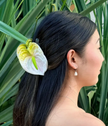 PH Anthurium Hair Claw Clip